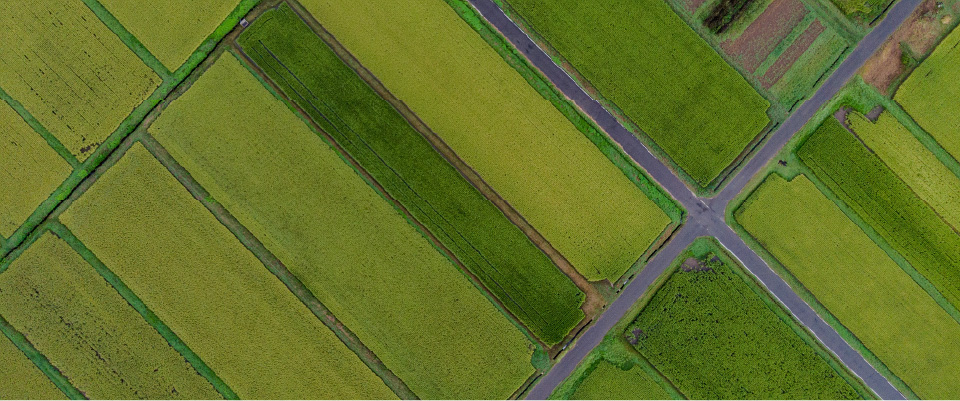 圃場空撮